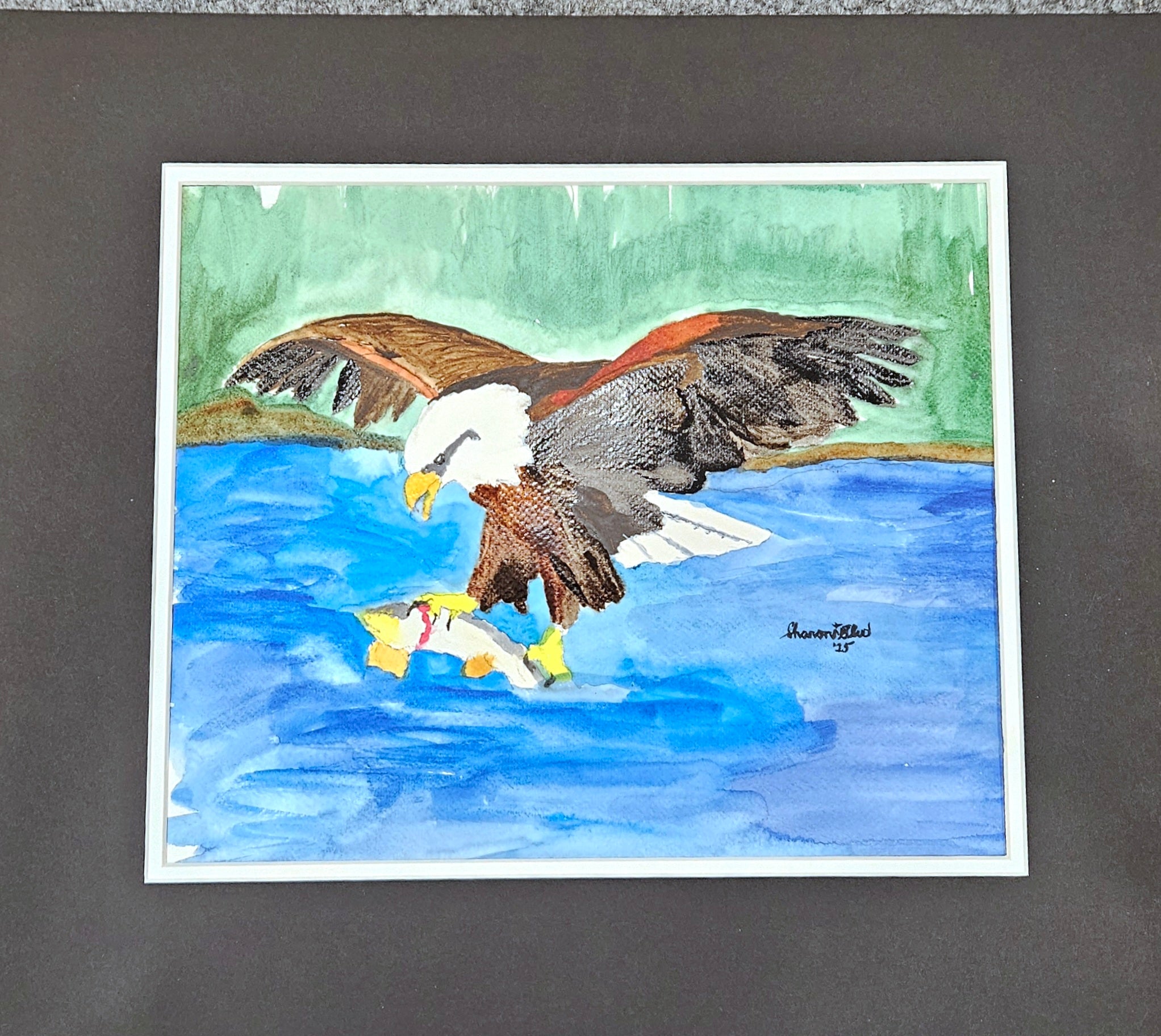 Eagle catching fish