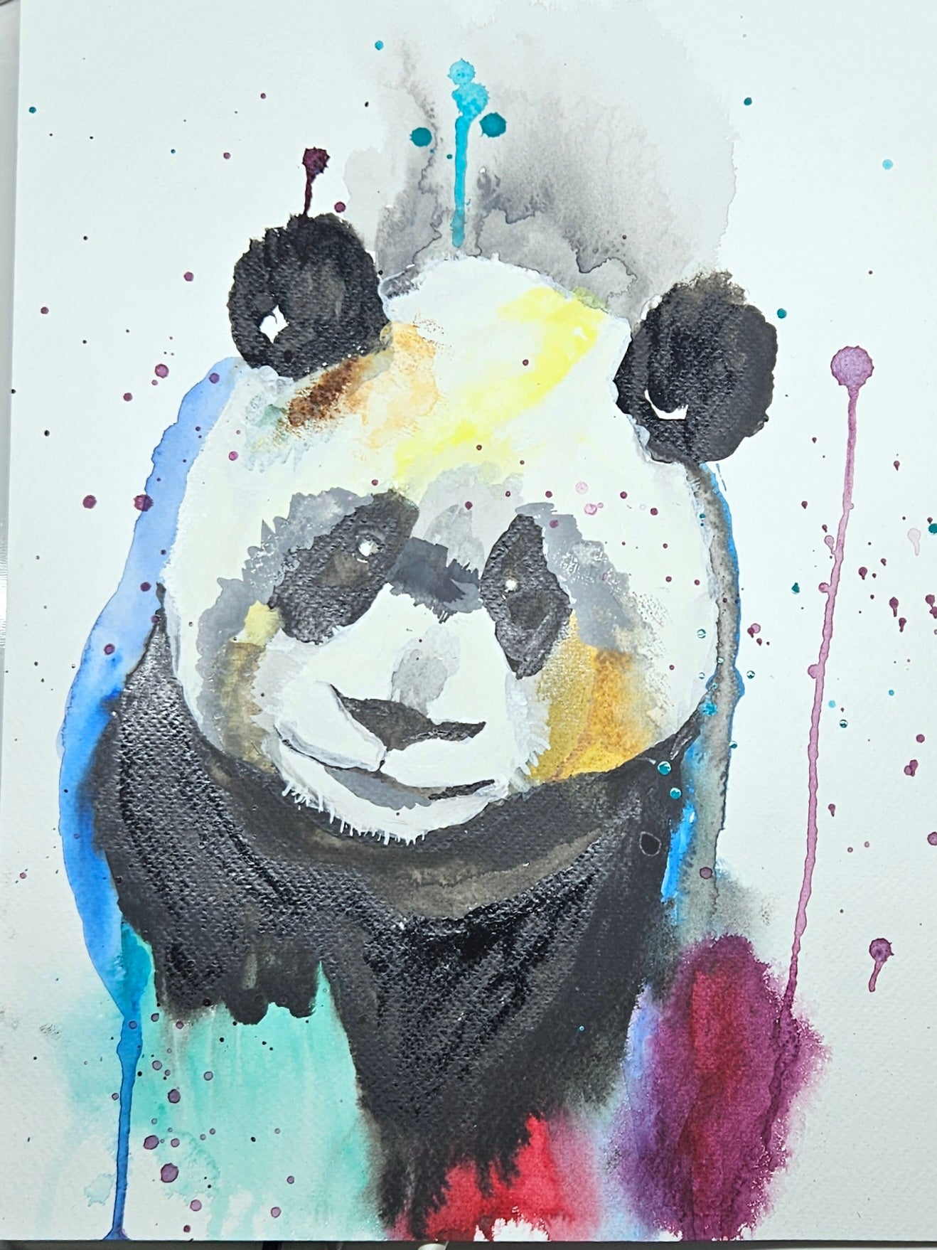 Panda multicolor