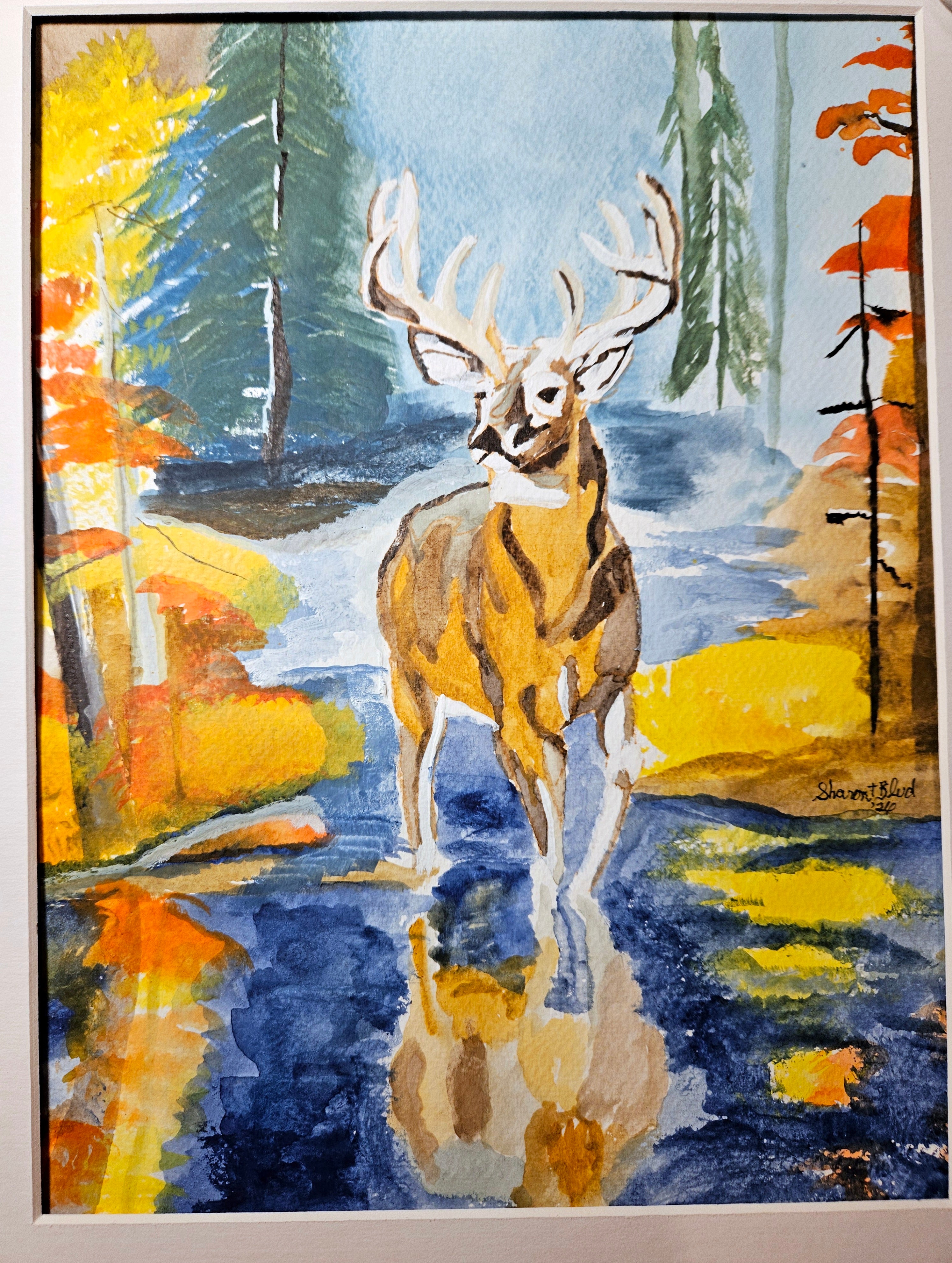 Beauty in the Forest