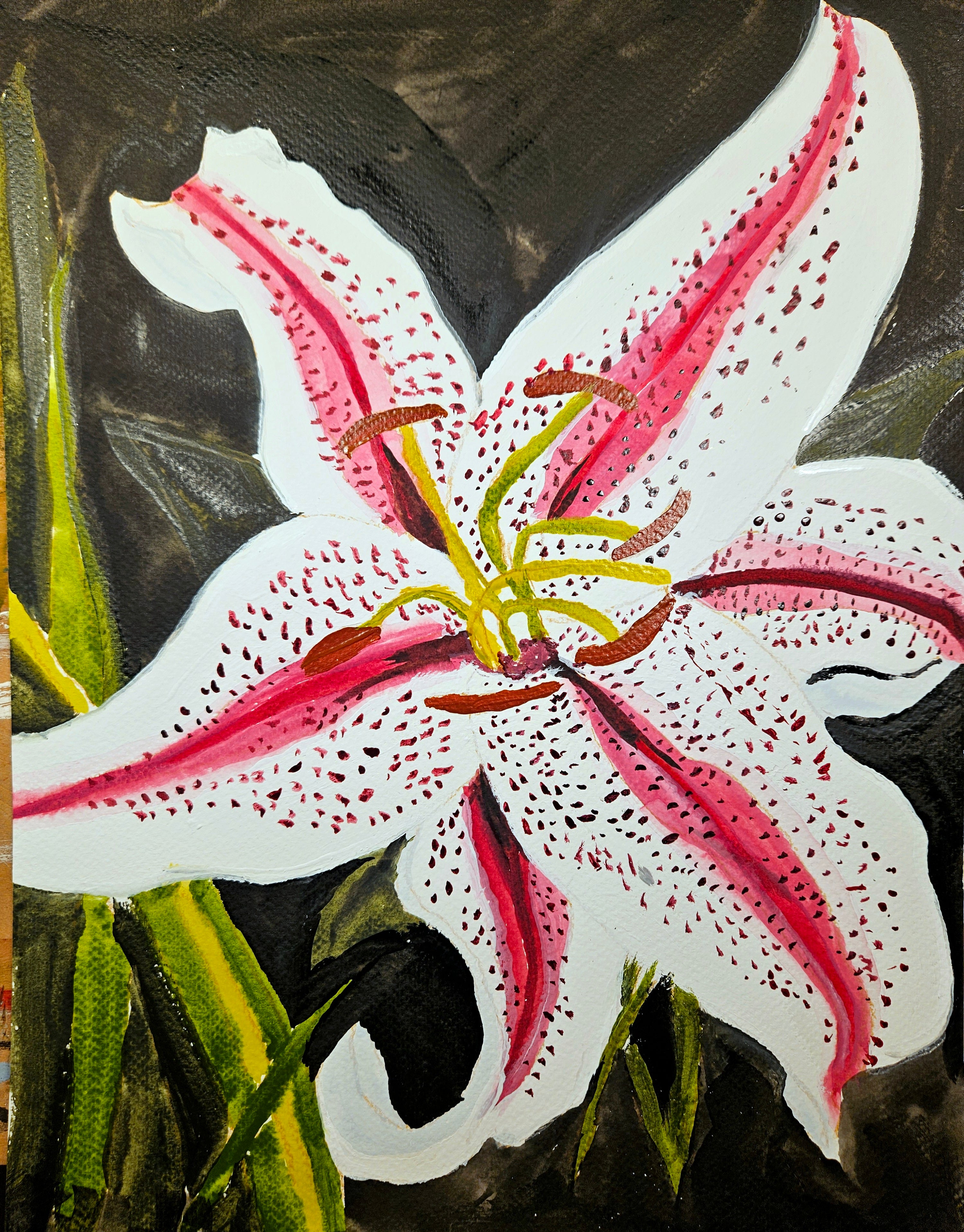 Stargazer Lily 11x15 print